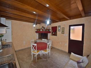 Apartment Denis with Terrace & Lovely Garden - Pula - 1