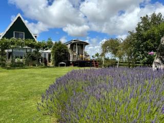 Beautiful tiny house with a view of the mill - 't Zand - 0