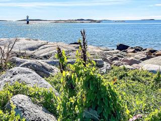 Quiet Island Retreat on Hono - 3