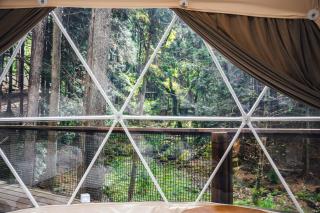 エメラルドの森 - 3