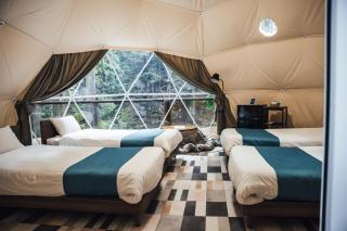 エメラルドの森 - 2