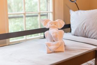 Historic 4br Trinity Park Home Near Duke - Durham - 9