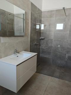 Luxury Villa Plandište 1 - Plandište - 9