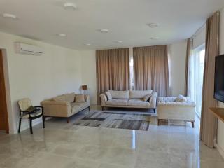 Luxury Villa Plandište 1 - Plandište - 4