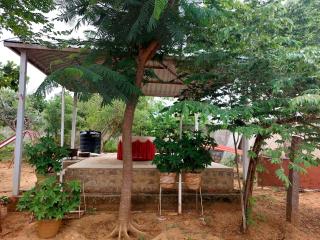 Harykah Family Farmhouse - Haiderabad - 5