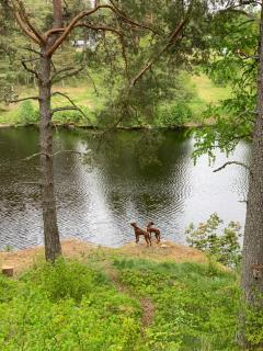 Hafners Ferienhaus - 1