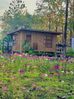 Payim farm พายิ้มฟาร์ม - - 0