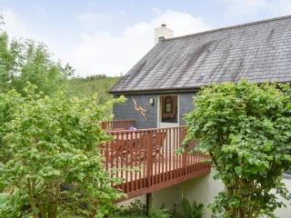 Eagles Nest - St Mellion - 6