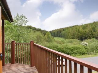 Eagles Nest - St Mellion - 3