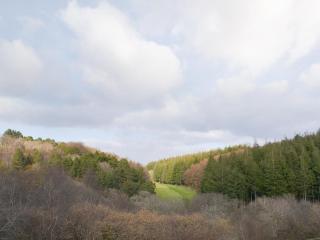 Eagles Nest - St Mellion - 1