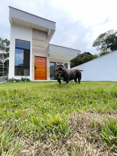 Casa Natura - Niterói Praias Oceânicas - Niterói - 9