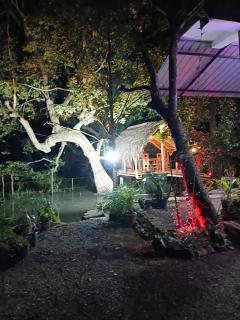Nature Lotus Villa - Dambulla - 7
