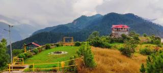Orchard Green Dummi - 0