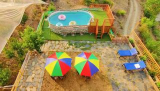 Orchard Green Dummi - 9