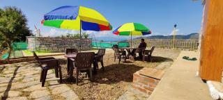Orchard Green Dummi - 6