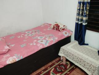 Kings jungle safari & Culture home stay - Meghauli - 9