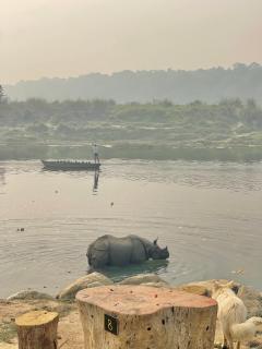 Bamby Chilling House - Feel The Nature - Sauraha - 7