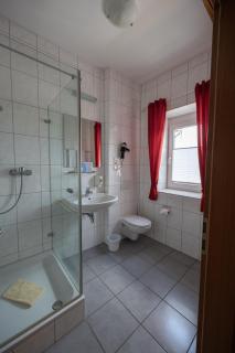 Hotel Haslbach FGZ - Ratisbona - 4