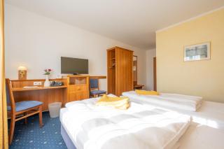 Hotel Haslbach FGZ - Ratisbona - 1