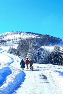 Casa Mila Zlatibor - 1
