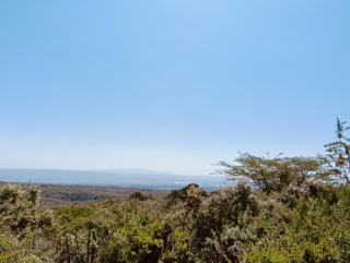 Leleshwa Homestead Cottage - Naivasha - Naivasha - 6