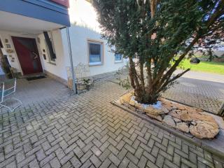 Eulennest Nassau - 8