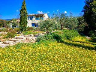 Les Bellonis - Villa au pied du Mont Ventoux - Bédoin - 7
