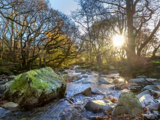 Beddgelert Cabins, Snowdonia - Forest Holidays - 7