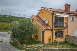 House In The Vineyard - Happy Rentals - Ankaran - 3