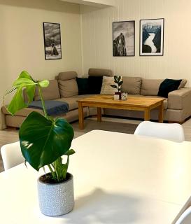 Apartment in the heart of Åndalsnes - Åndalsnes - 7