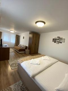 Pensiunea Boculeț Gura Humorului - 2