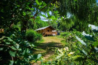 Camping Domaine le Peyral - Le Papillon Lodge - La Salvetat - 0