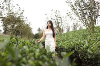 Tiến Yên Farmstay - 1