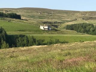 Ramblers Rest - Uk33474 - Nenthead - 1