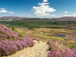 Mar House - Braemar - 2