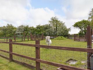 The Willows - Hambleton - 1