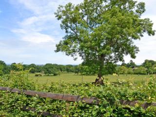 Pheasant Cottage - Ukc3428 - 2