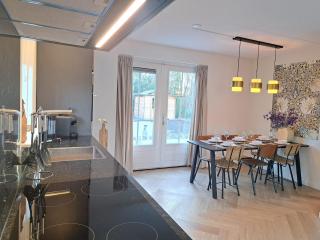 Wellness villa Appelscha bij Drents-Friese Wold met sauna & whirlpool - VP048 - 2