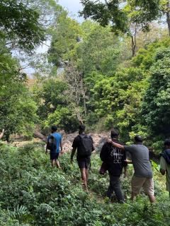 Jungle Castle - Wayanad - 9