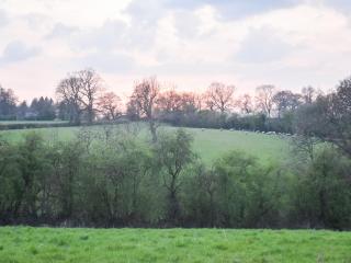 Hollywell Cottages - Clifton - 2