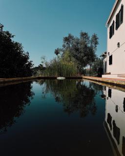 Breakfast Under A Tree Apartamento - Tomar - 0