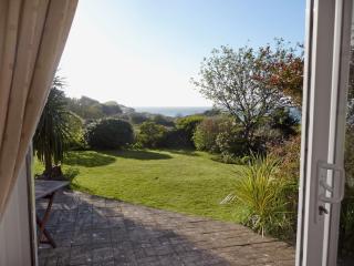 Palm Leas - E3587 - Ilfracombe - 5