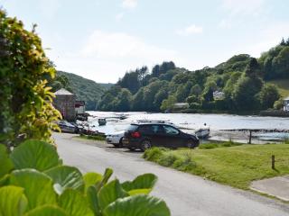 Watercolour Cottage - Lerryn - 1