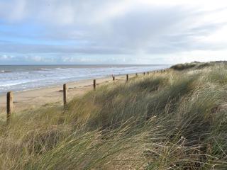 Marina Vista - Horning - 8