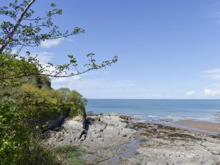 Strawberry Cottage - Combe Martin - 0