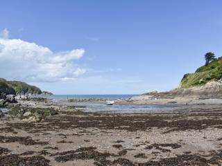 Strawberry Cottage - Combe Martin - 4