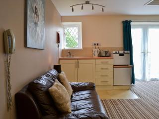Lee Studio - Ukc3372 - West Down - 6