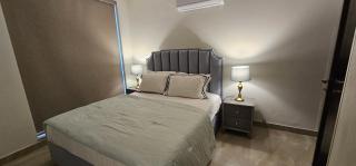 2 beds apartment - Lahore - 0