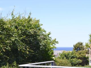 Palm Villa - Saint Columb Minor - 6