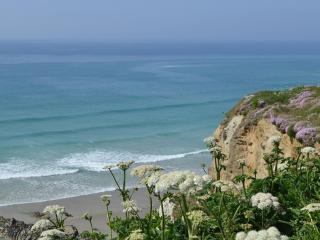 Palm Villa - Saint Columb Minor - 3